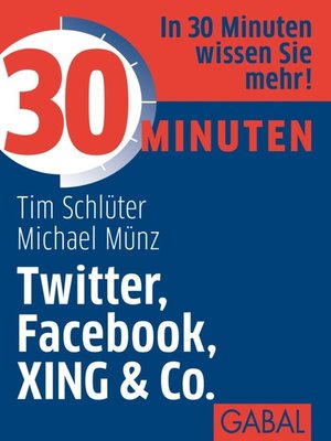 cover image of 30 Minuten Twitter, Facebook, XING & Co.